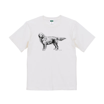 ヴィンテージライクな犬の図鑑風Tシャツ（ゴールデンレトリーバー）