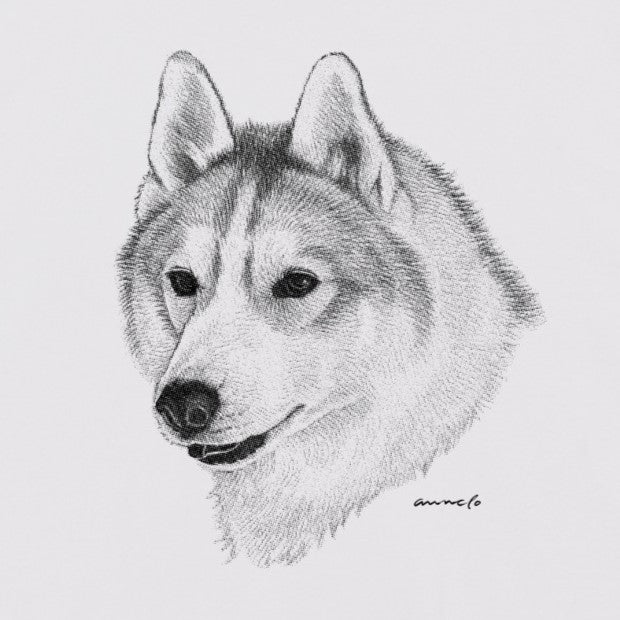 ヴィンテージライクな犬の肖像画Tシャツ（シベリアンハスキー）