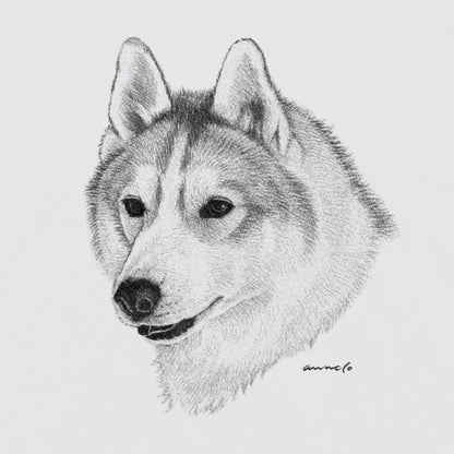 ヴィンテージライクな犬の肖像画Tシャツ（シベリアンハスキー）