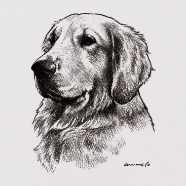 ヴィンテージライクな犬の肖像画Tシャツ（ゴールデンレトリーバー）