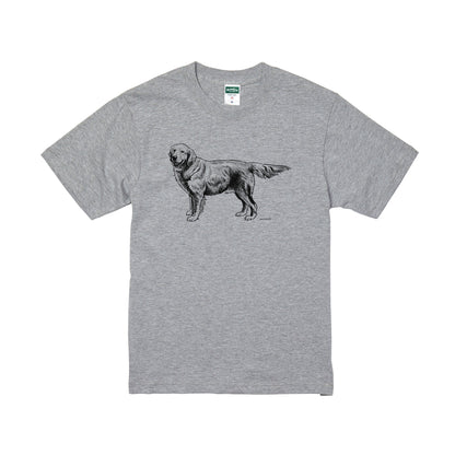 ヴィンテージライクな犬の図鑑風Tシャツ（ゴールデンレトリーバー）