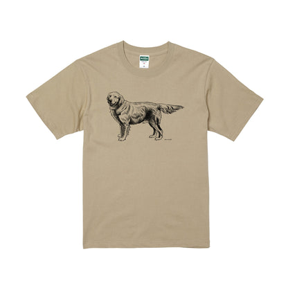 ヴィンテージライクな犬の図鑑風Tシャツ（ゴールデンレトリーバー）