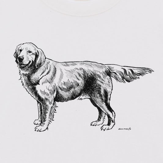 ヴィンテージライクな犬の図鑑風Tシャツ（ゴールデンレトリーバー）
